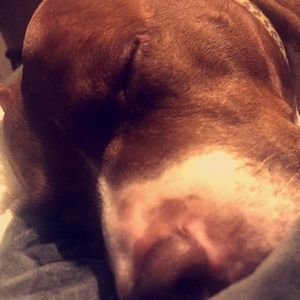 Meet your Posher, Gio